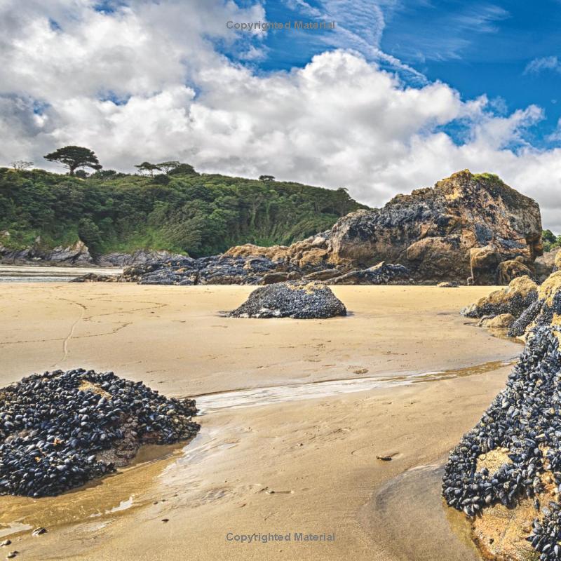 national geographic little kids first big book of rocks, minerals & shells - Ảnh 4
