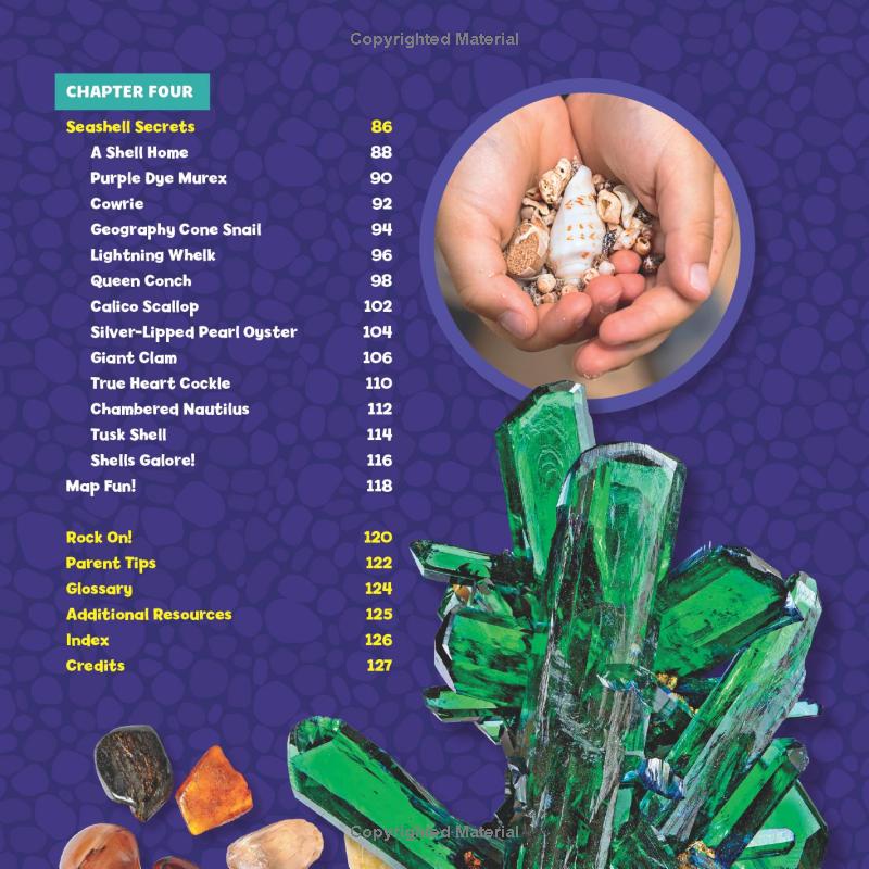 national geographic little kids first big book of rocks, minerals & shells - Ảnh 7