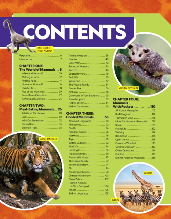 national geographic little kids first big book of sports - Ảnh 5