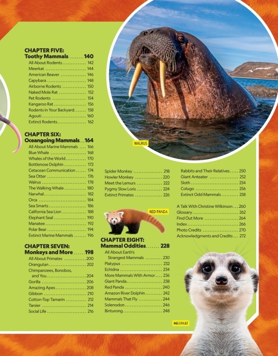 national geographic little kids first big book of sports - Ảnh 6