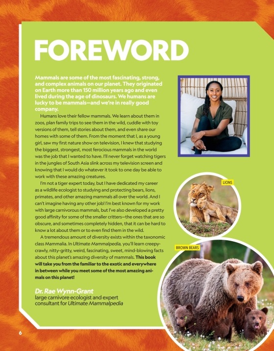 national geographic little kids first big book of sports - Ảnh 7