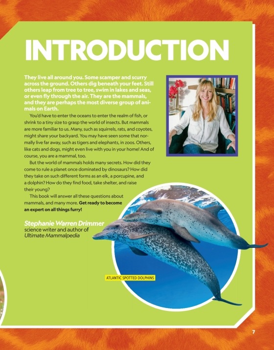 national geographic little kids first big book of sports - Ảnh 8