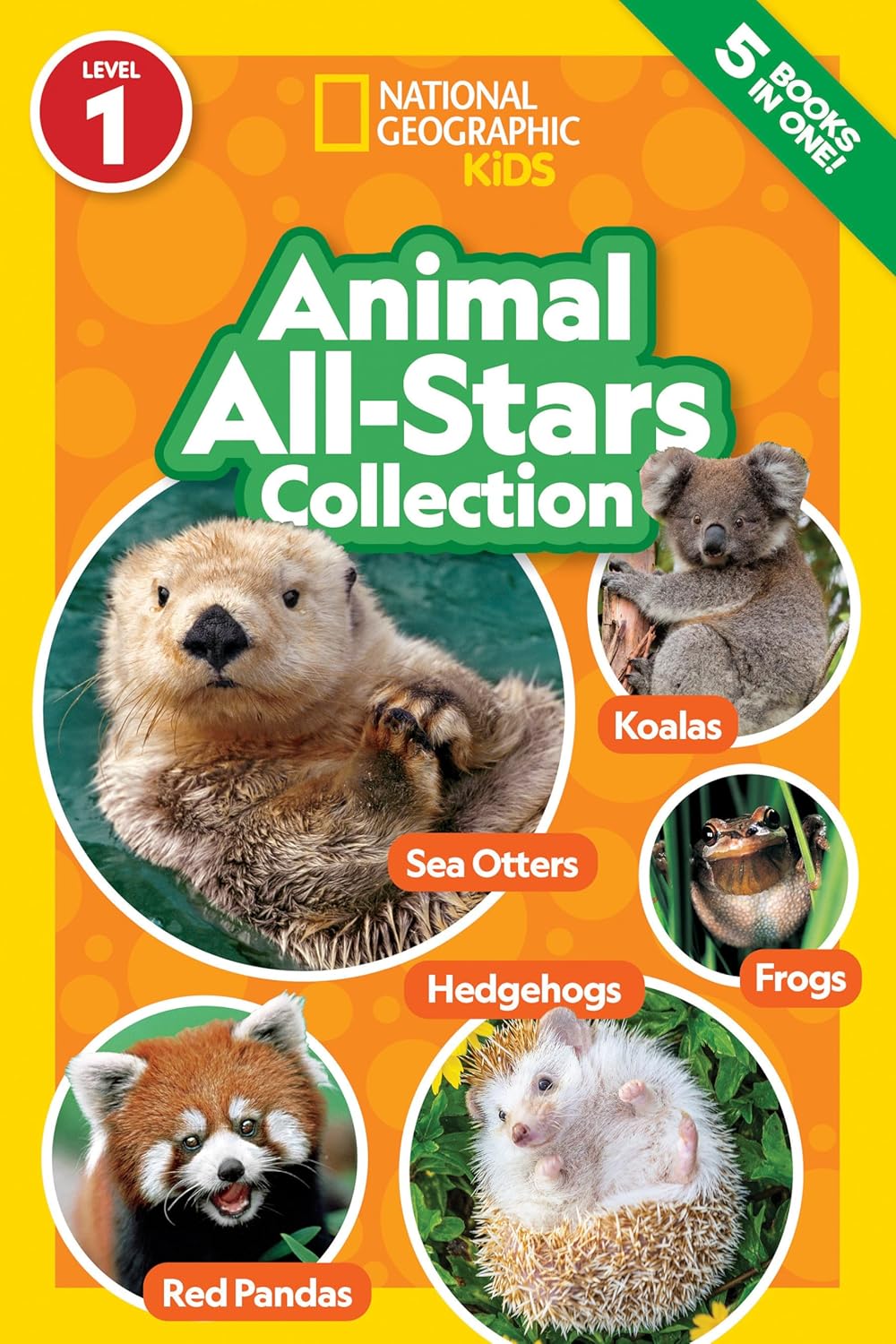 national geographic readers animal all-stars collection - Ảnh 2