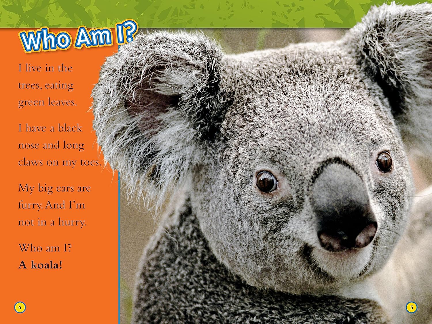 national geographic readers animal all-stars collection - Ảnh 5