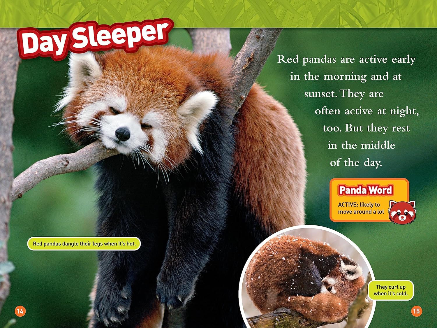 national geographic readers animal all-stars collection - Ảnh 7