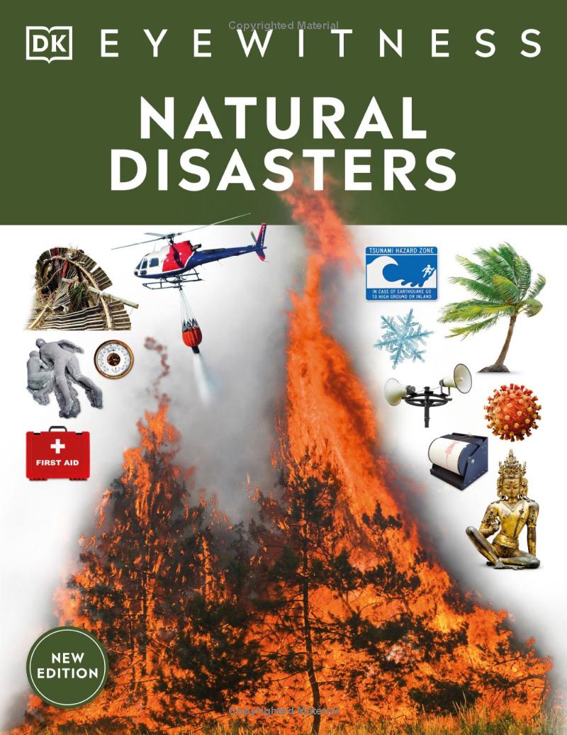 Natural Disasters - Ảnh 2