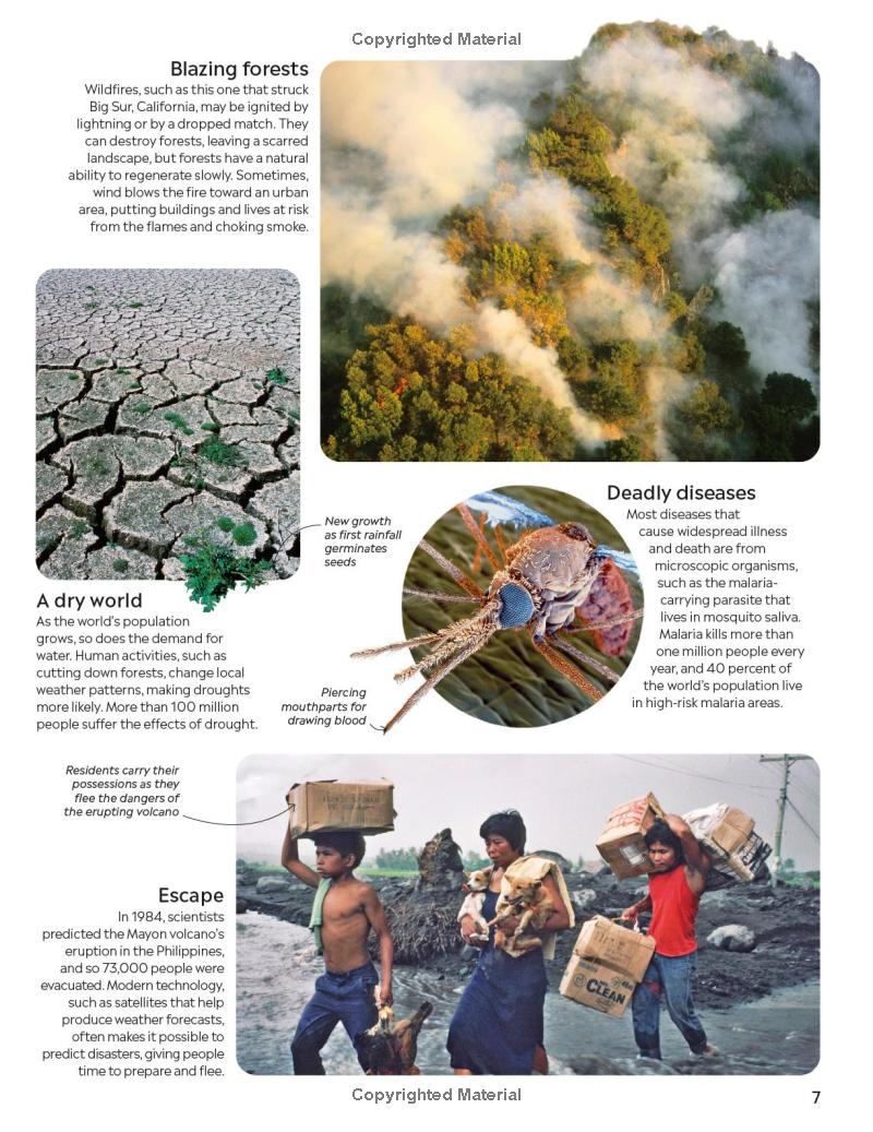 Natural Disasters - Ảnh 9