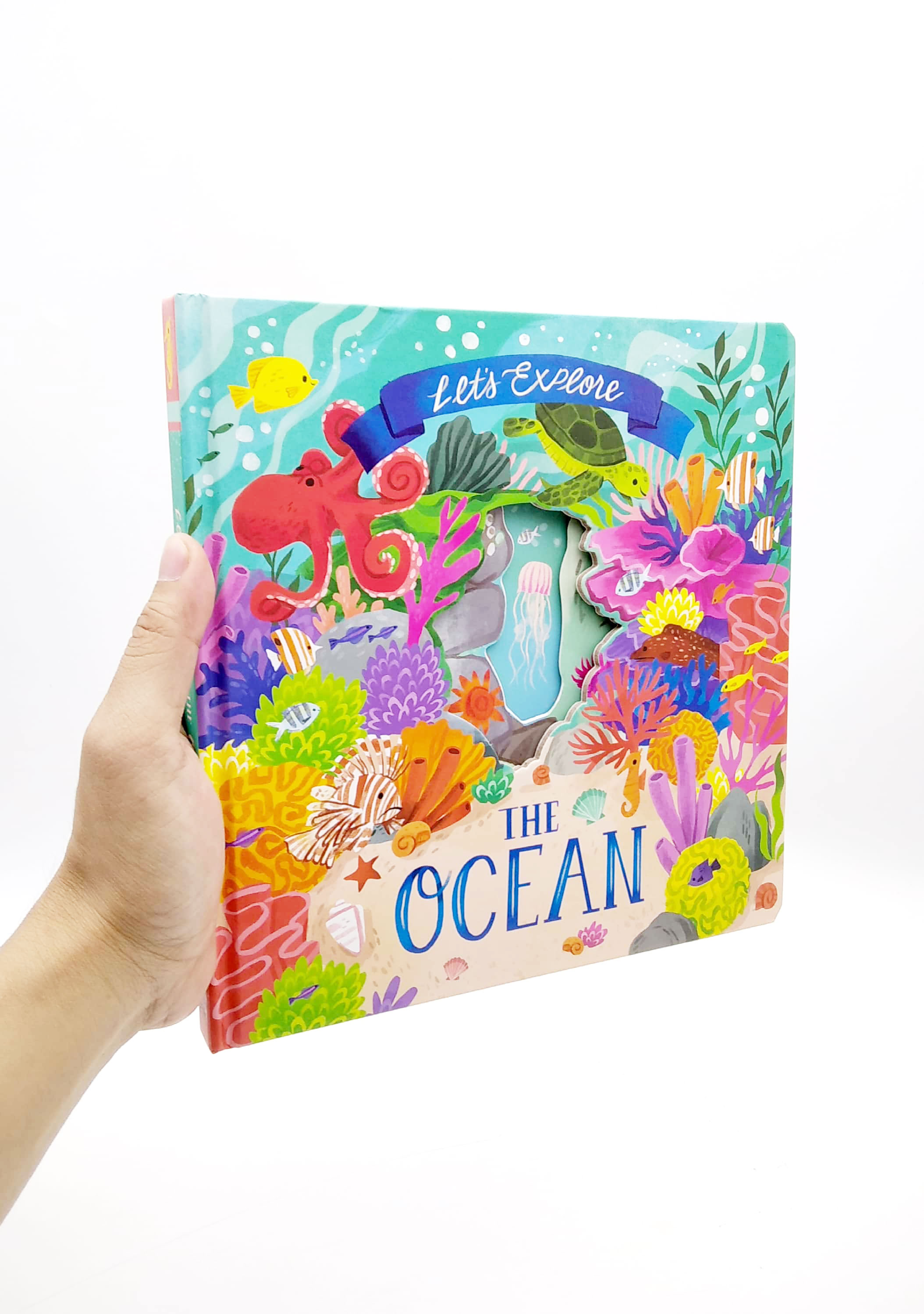 nature die-cut book - let's explore! the ocean - Ảnh 11