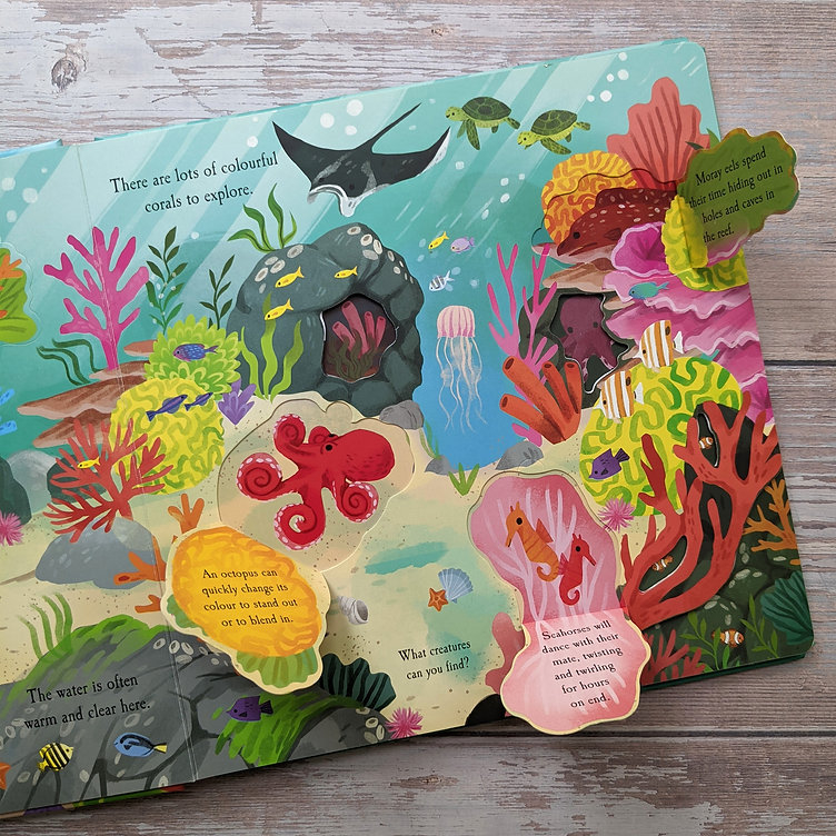 nature die-cut book - let's explore! the ocean - Ảnh 4