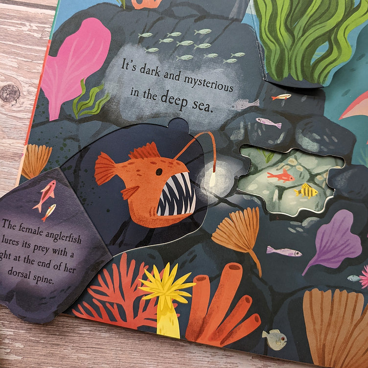 nature die-cut book - let's explore! the ocean - Ảnh 5
