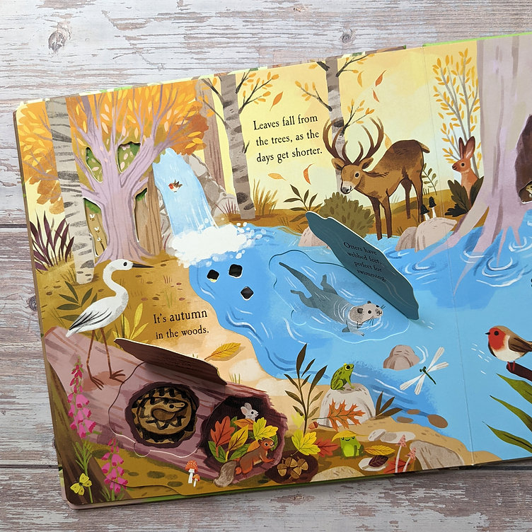 nature die-cut book - let's explore! the woods - Ảnh 4
