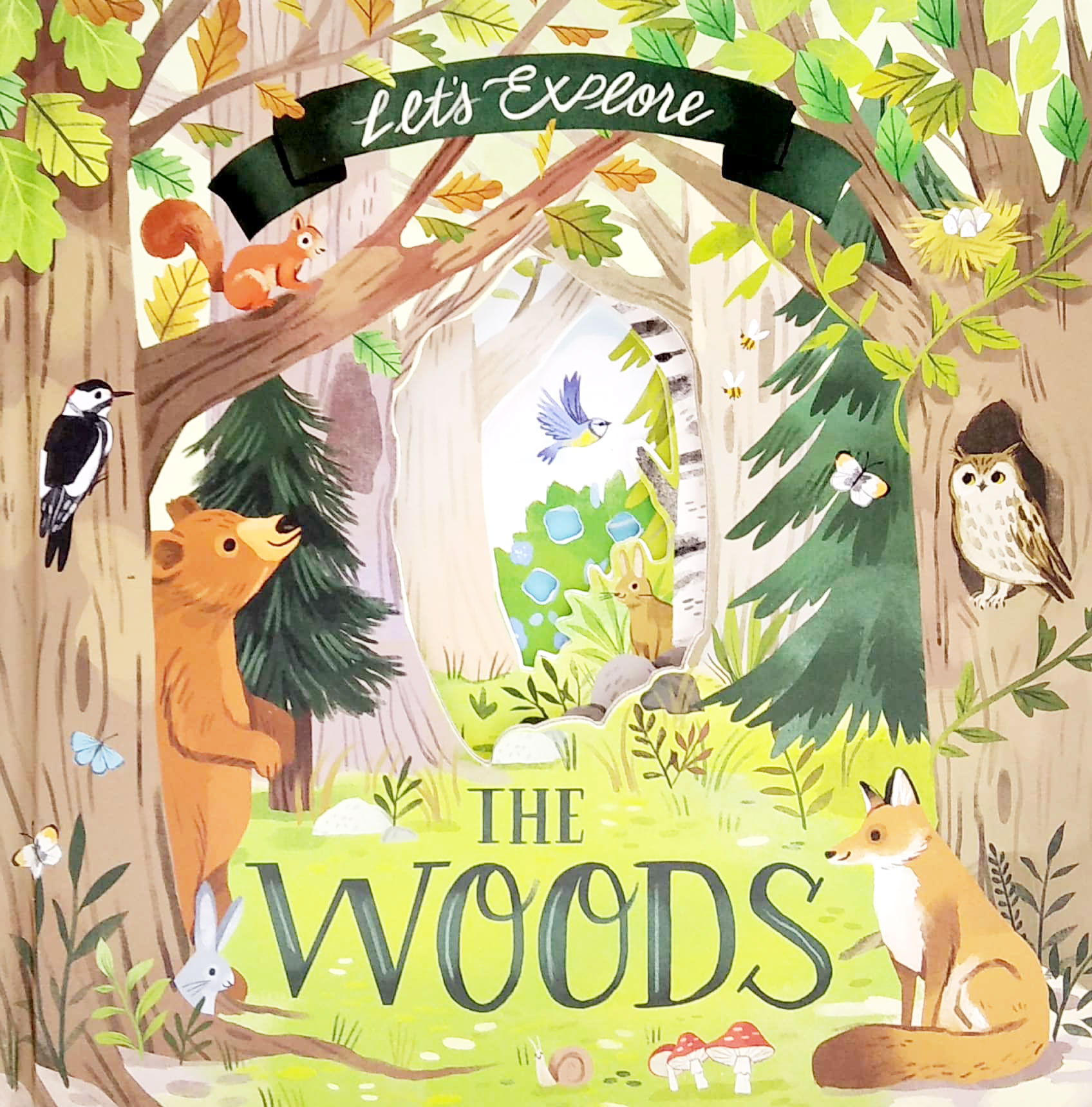 nature die-cut book - let's explore! the woods - Ảnh 6