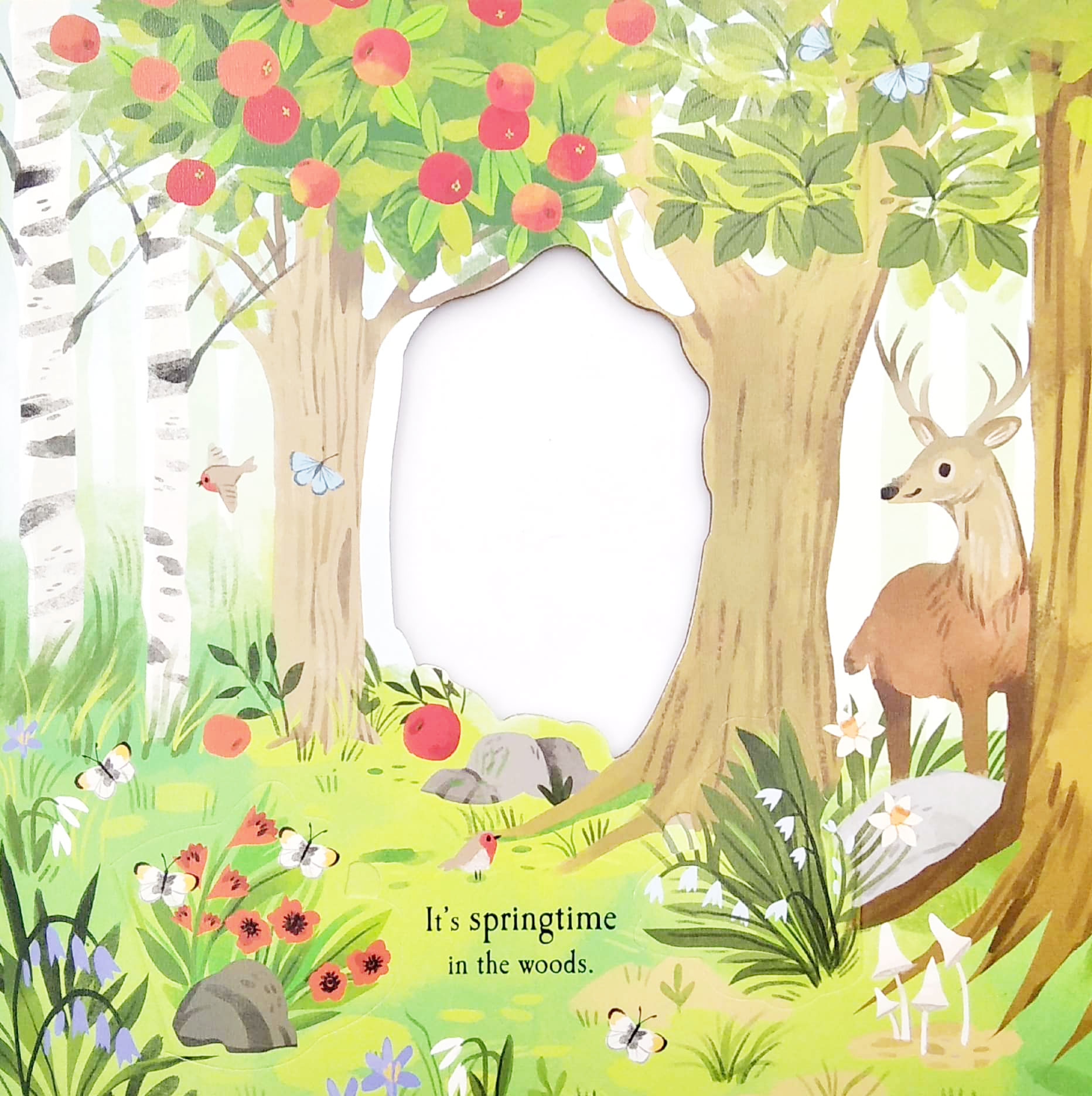 nature die-cut book - let's explore! the woods - Ảnh 7