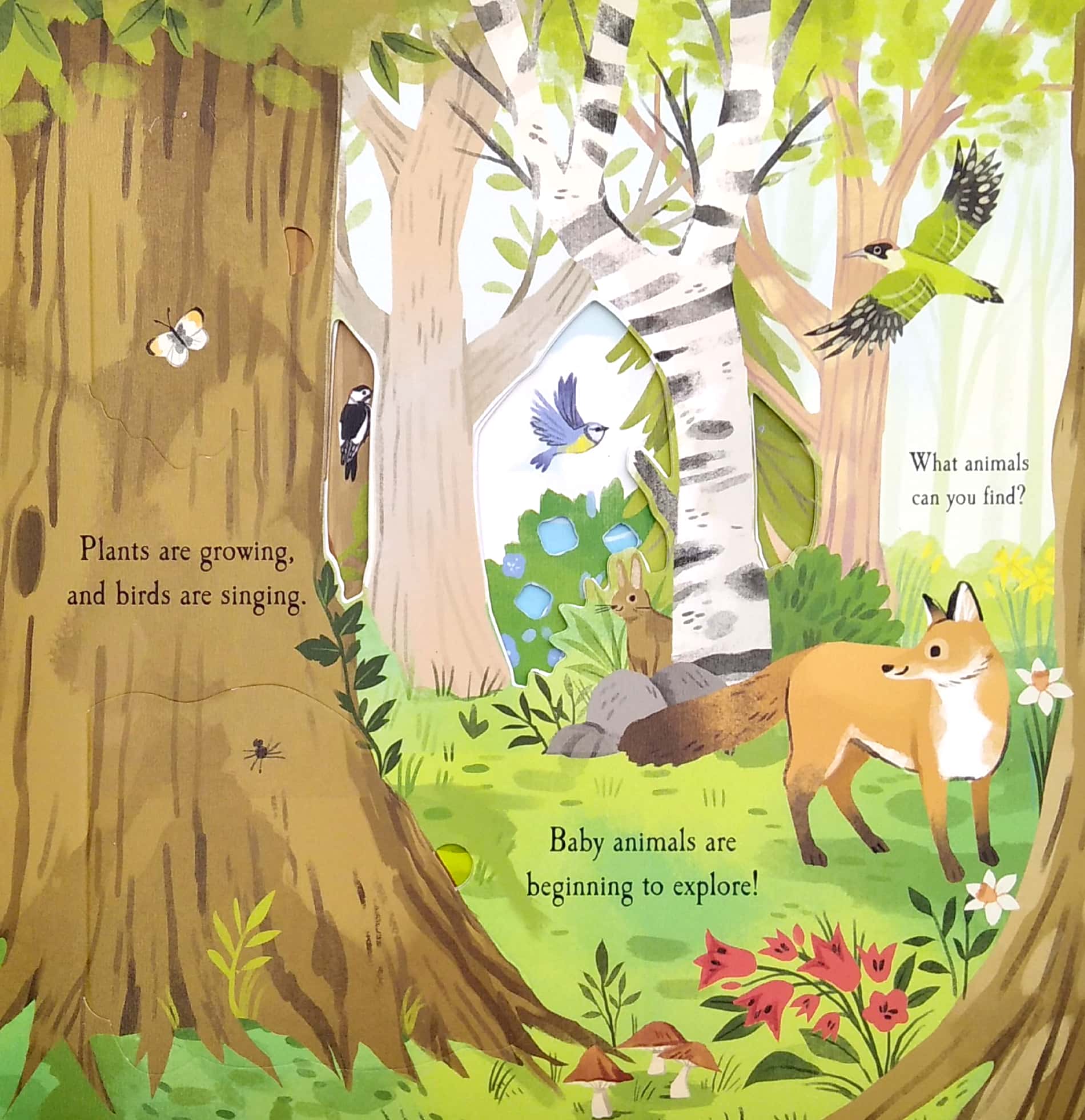 nature die-cut book - let's explore! the woods - Ảnh 8