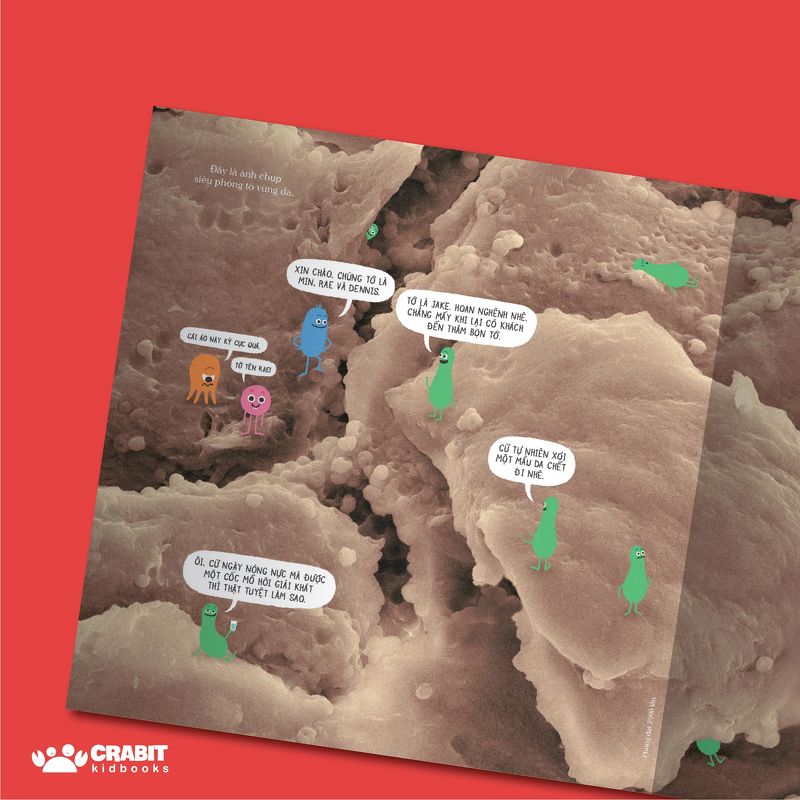 này, chớ táy máy liếm sách! - Ảnh 4