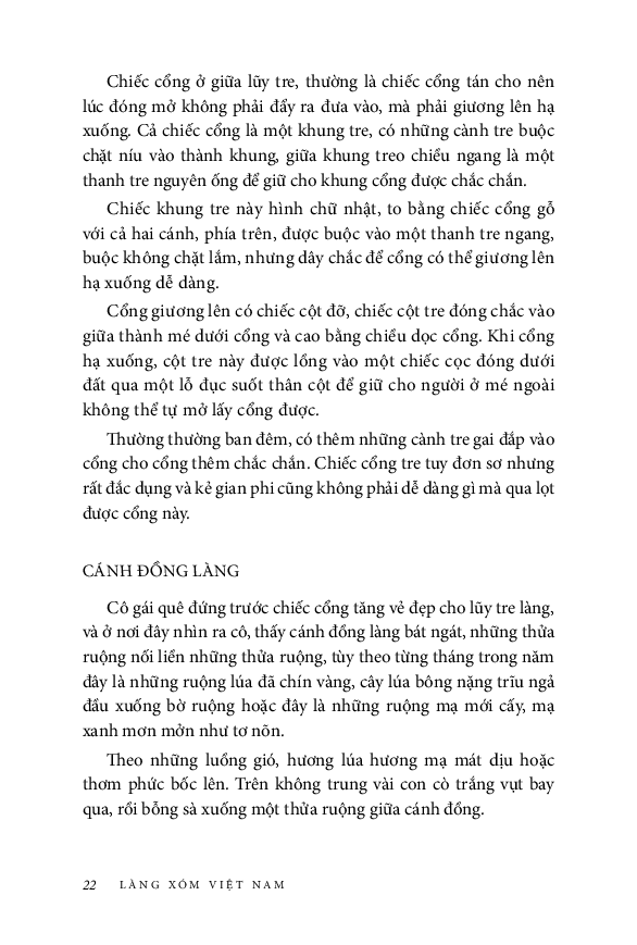 nếp cũ - làng xóm việt nam - Ảnh 18