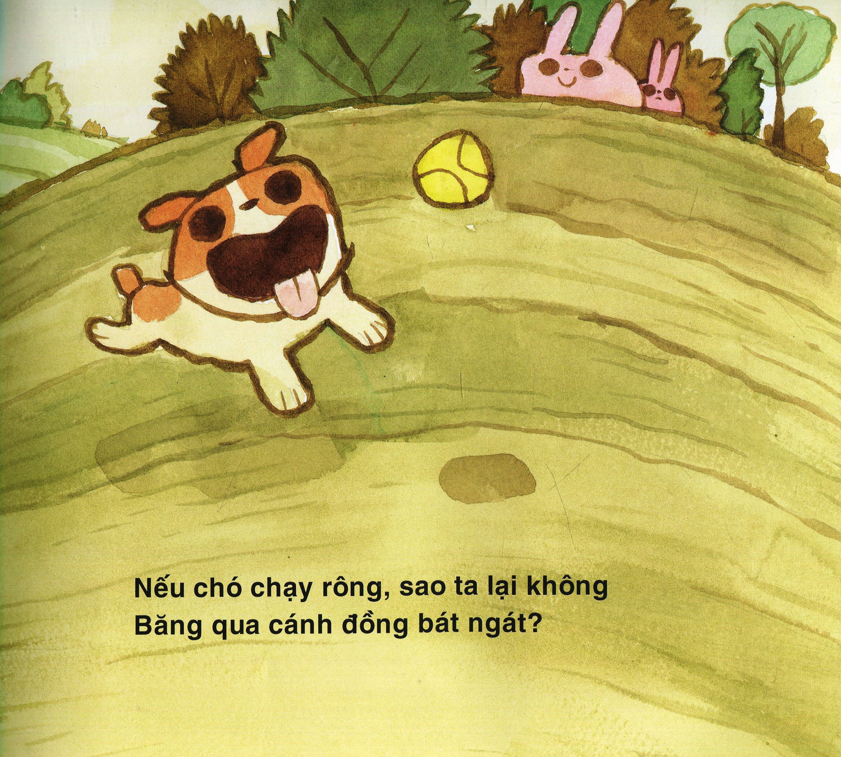 nếu chó chạy rông - Ảnh 4