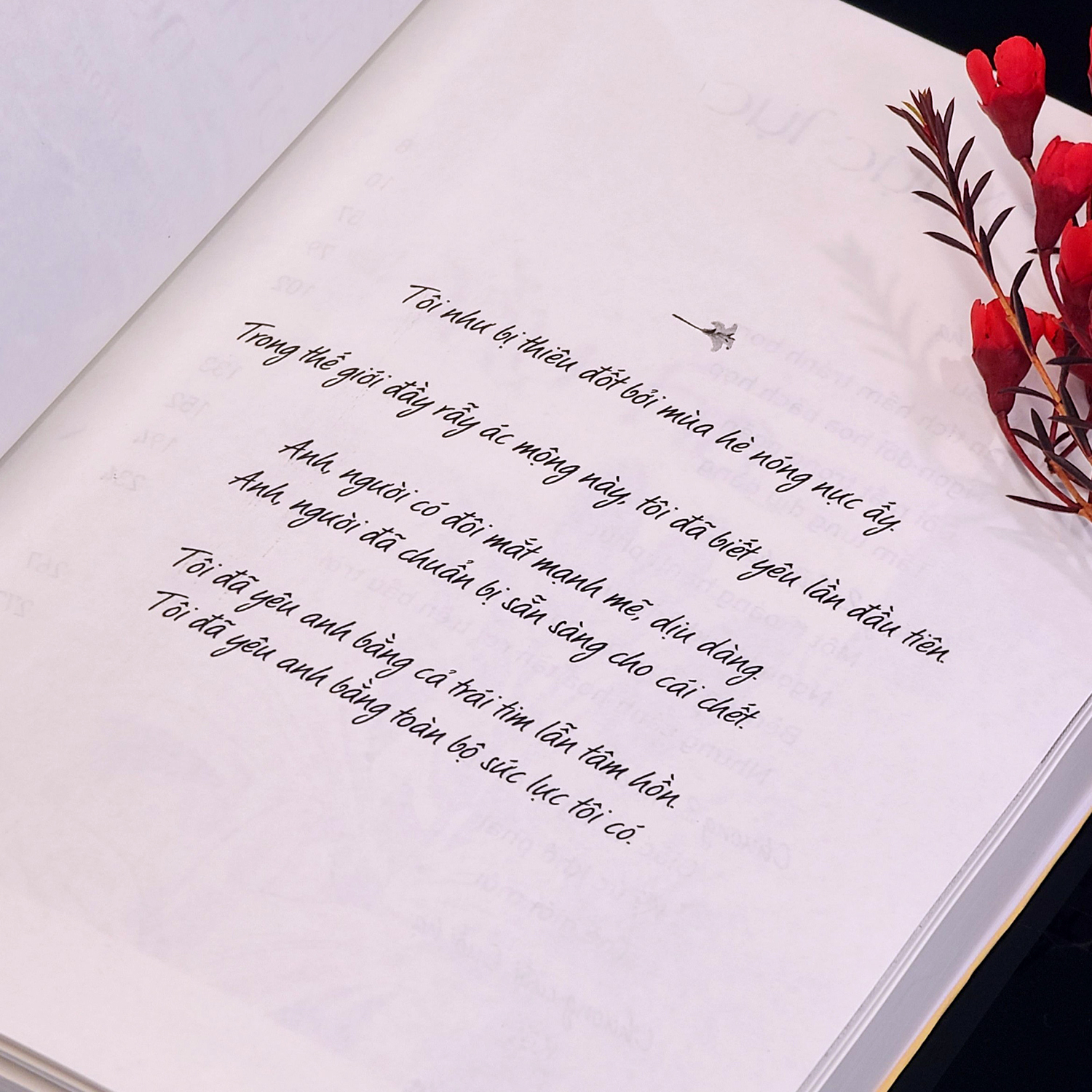 nếu gặp lại em trên ngọn đồi hoa nở - tặng kèm bookmark - Ảnh 6