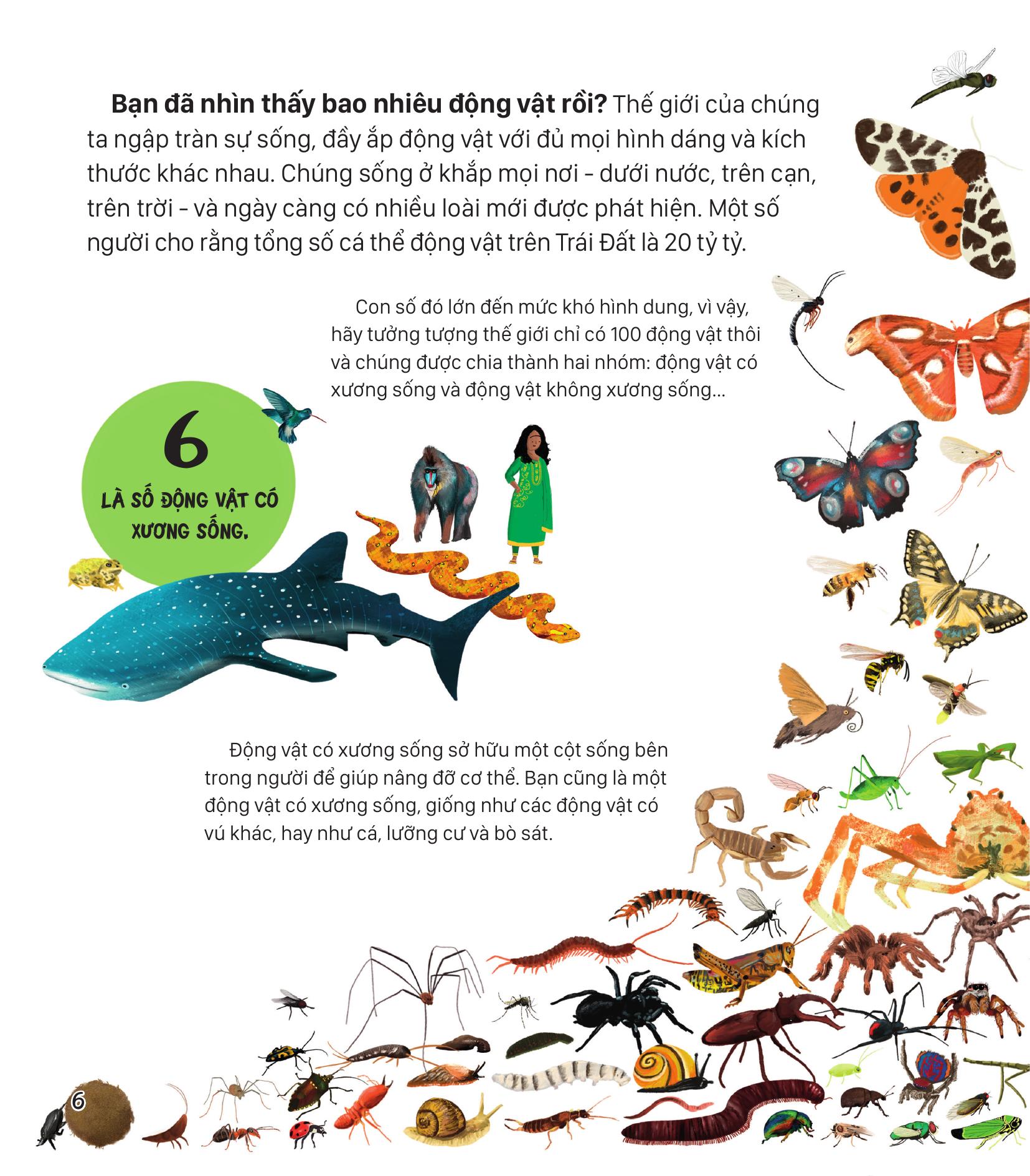 Nếu Thế Giới Chỉ Có 100 Động Vật - Góc Nhìn Toàn Diện Về Động Vật Trên Trái Đất - Ảnh 4