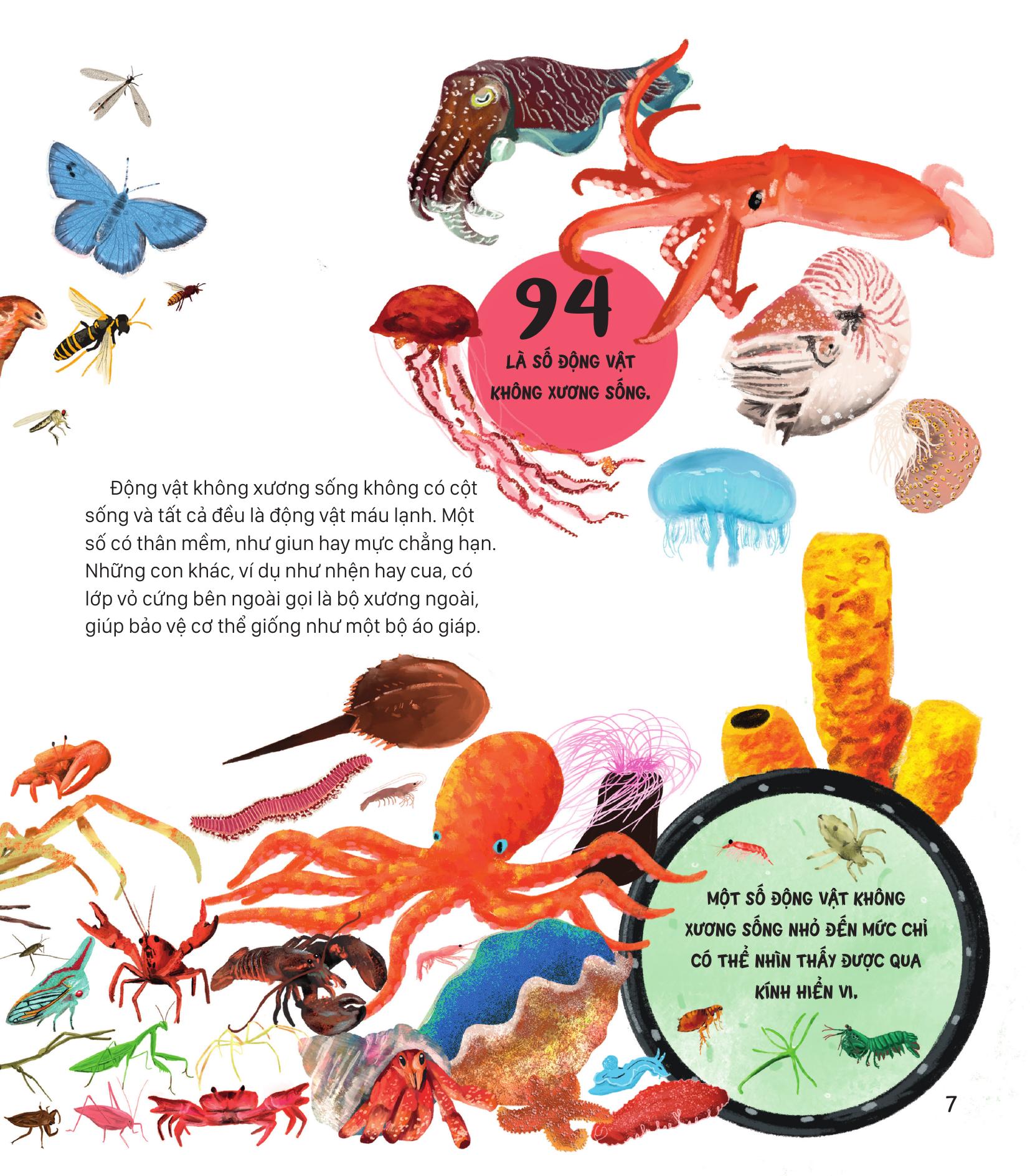 Nếu Thế Giới Chỉ Có 100 Động Vật - Góc Nhìn Toàn Diện Về Động Vật Trên Trái Đất - Ảnh 5