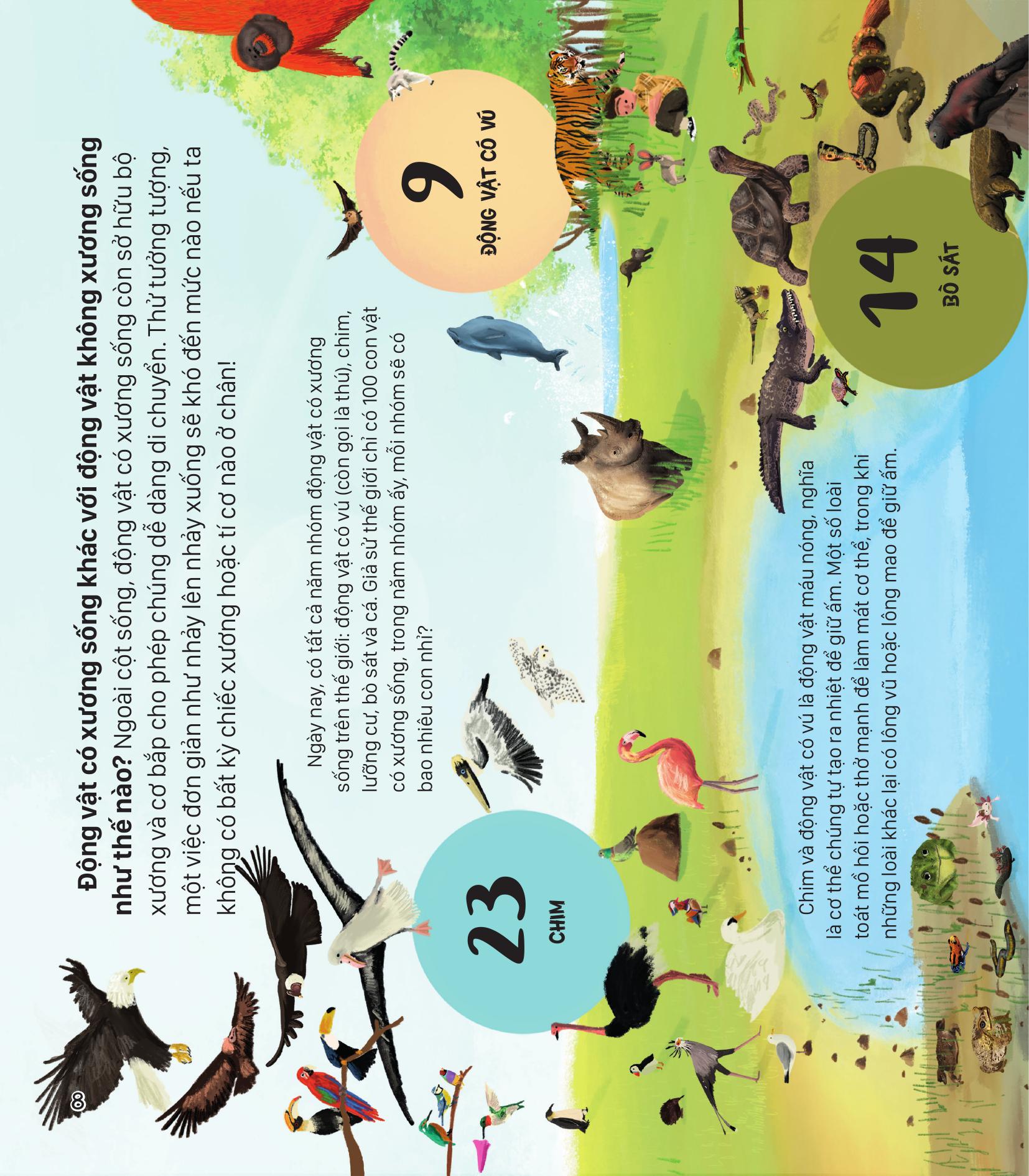 Nếu Thế Giới Chỉ Có 100 Động Vật - Góc Nhìn Toàn Diện Về Động Vật Trên Trái Đất - Ảnh 6