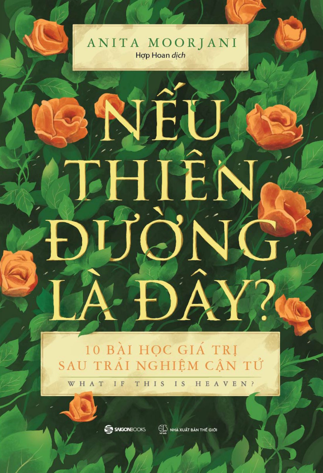nếu thiên đường là đây - Ảnh 2
