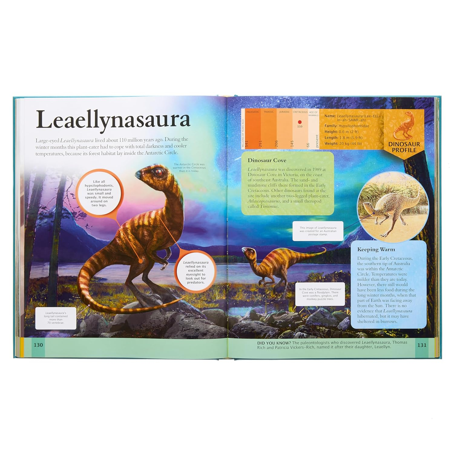 new dinosaur encyclopedia - Ảnh 5