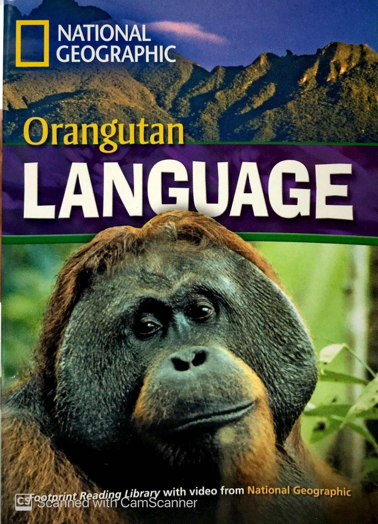 ng fprl ame orangutan language 1600 sb - Ảnh 3