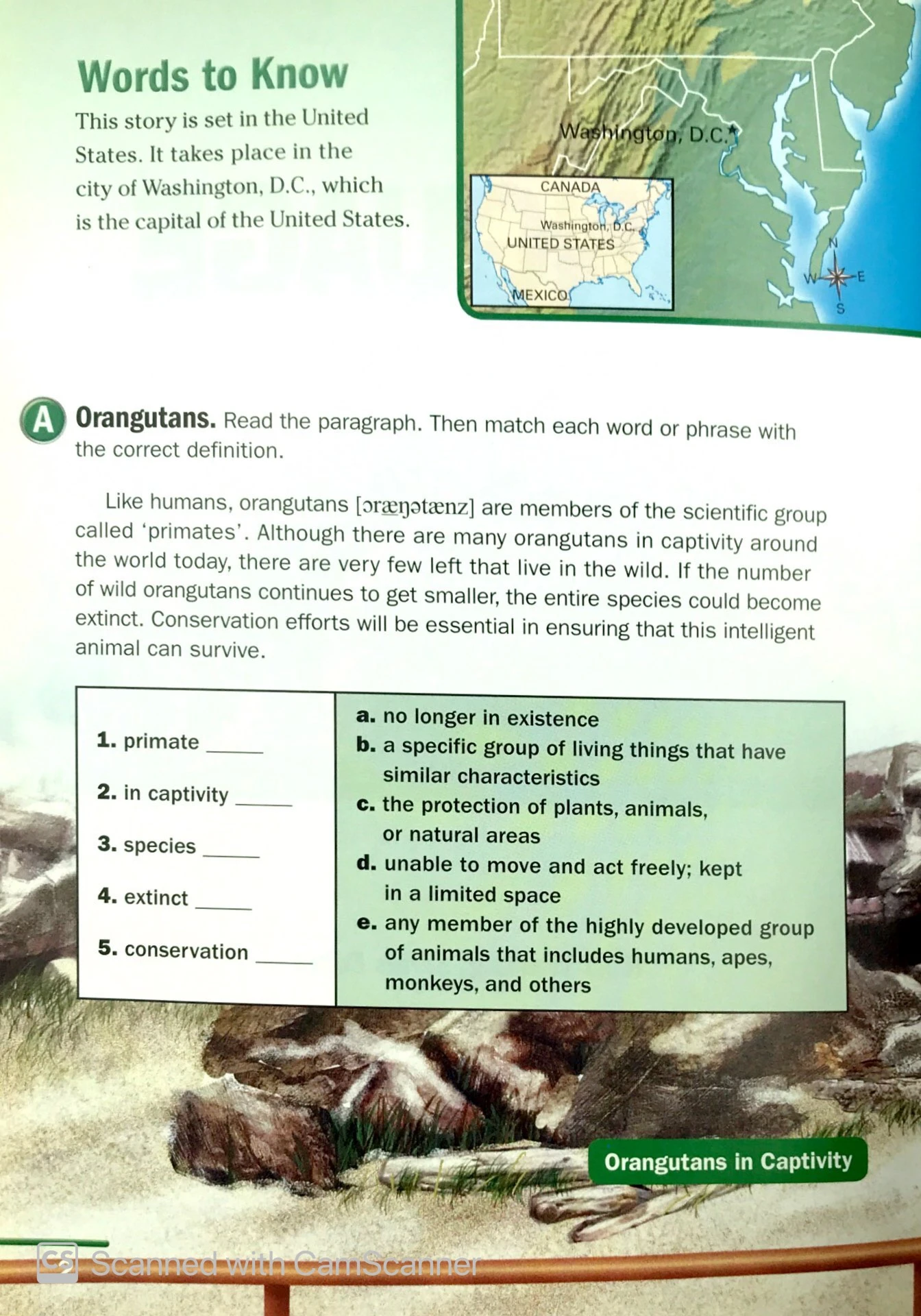 ng fprl ame orangutan language 1600 sb - Ảnh 4