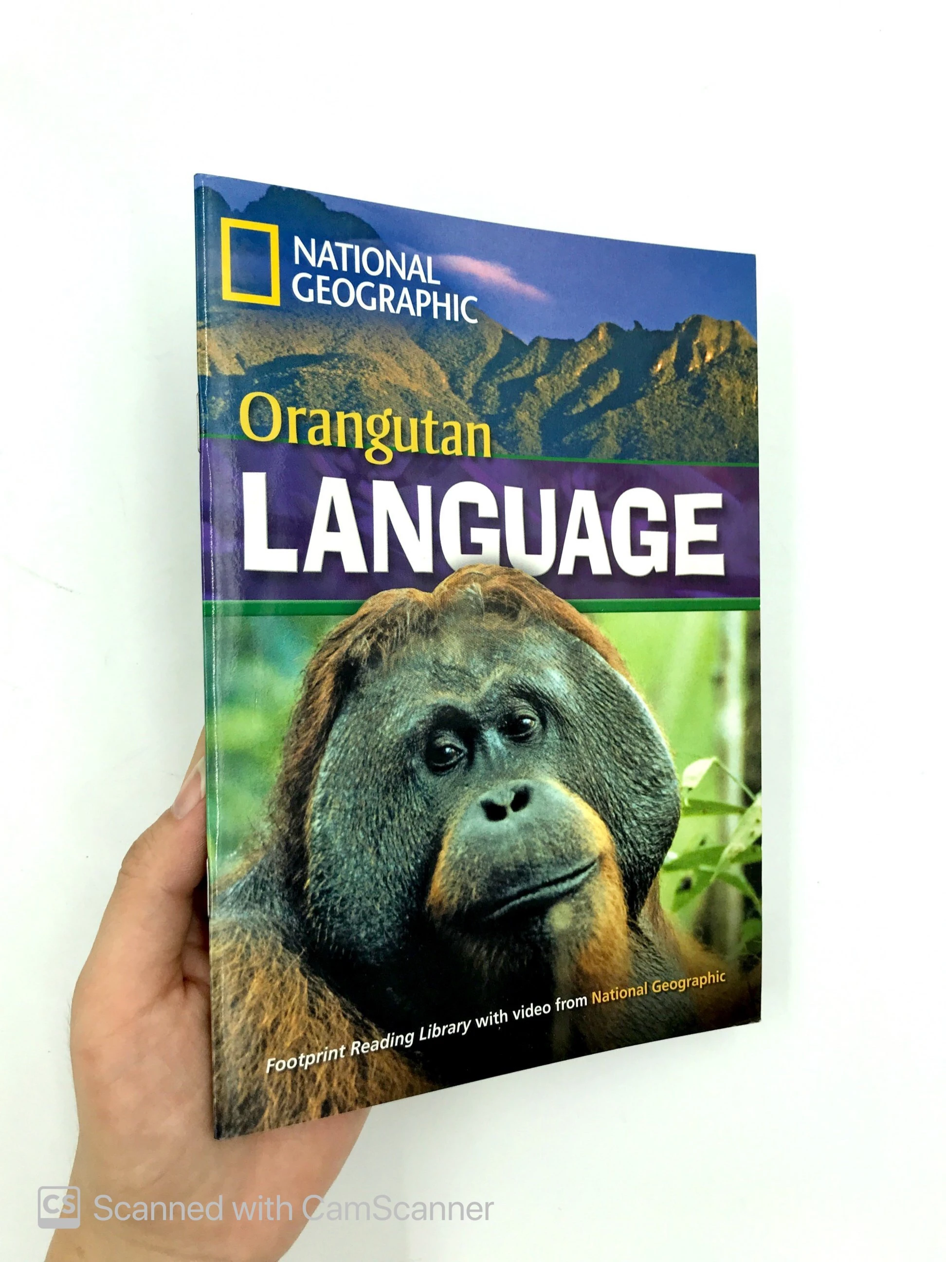 ng fprl ame orangutan language 1600 sb - Ảnh 9