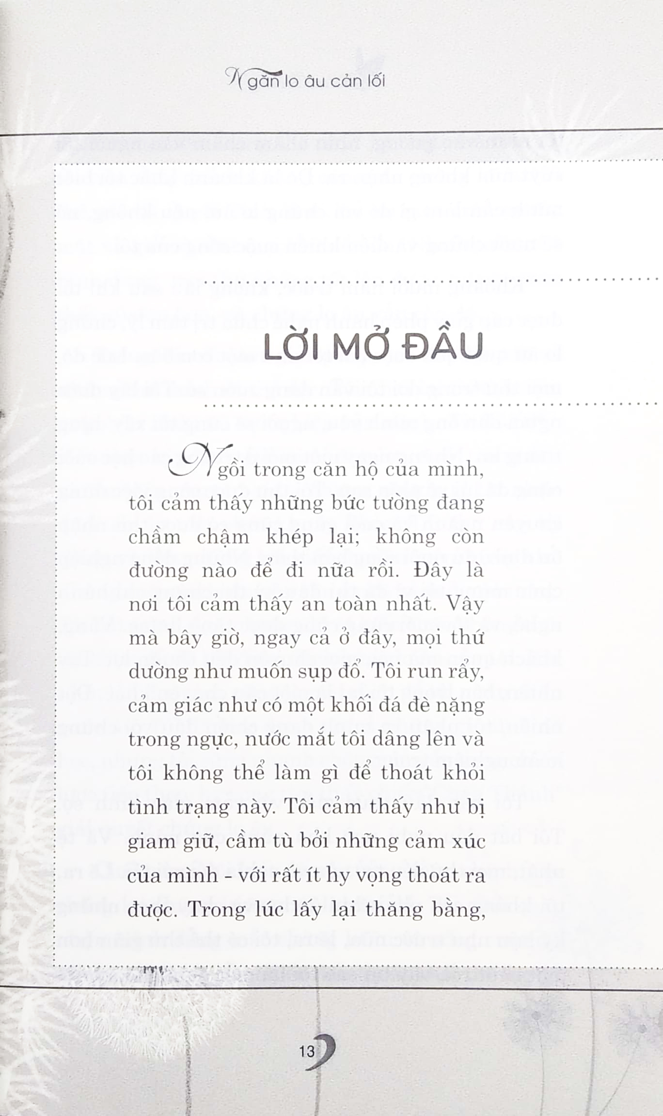 ngăn lo âu cản lối - Ảnh 4