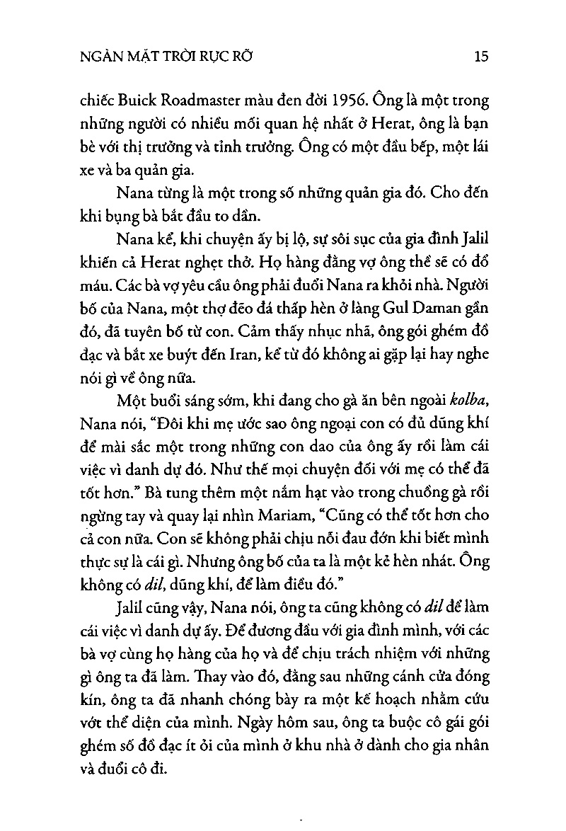 ngàn mặt trời rực rỡ (tái bản 2019) - Ảnh 7