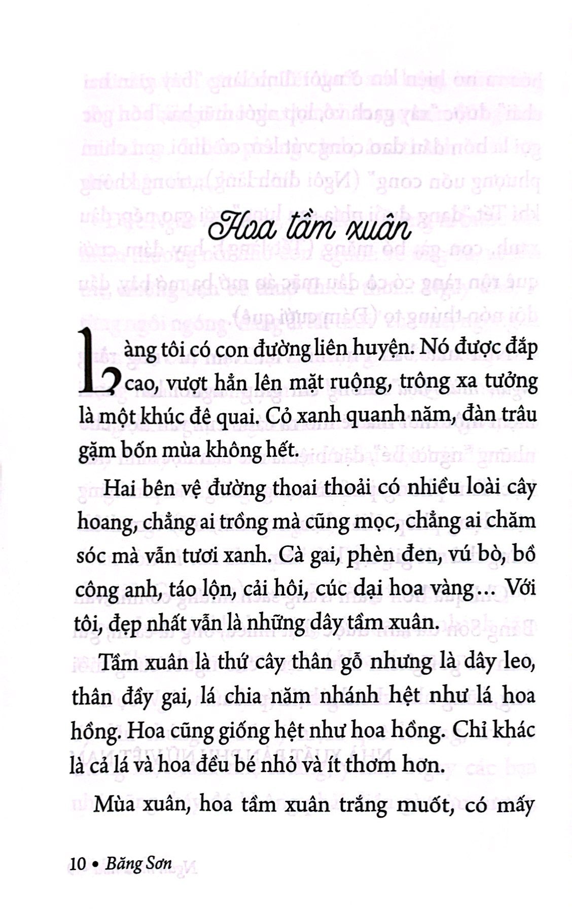 ngàn mùa hoa - nét đẹp thiên nhiên - Ảnh 4
