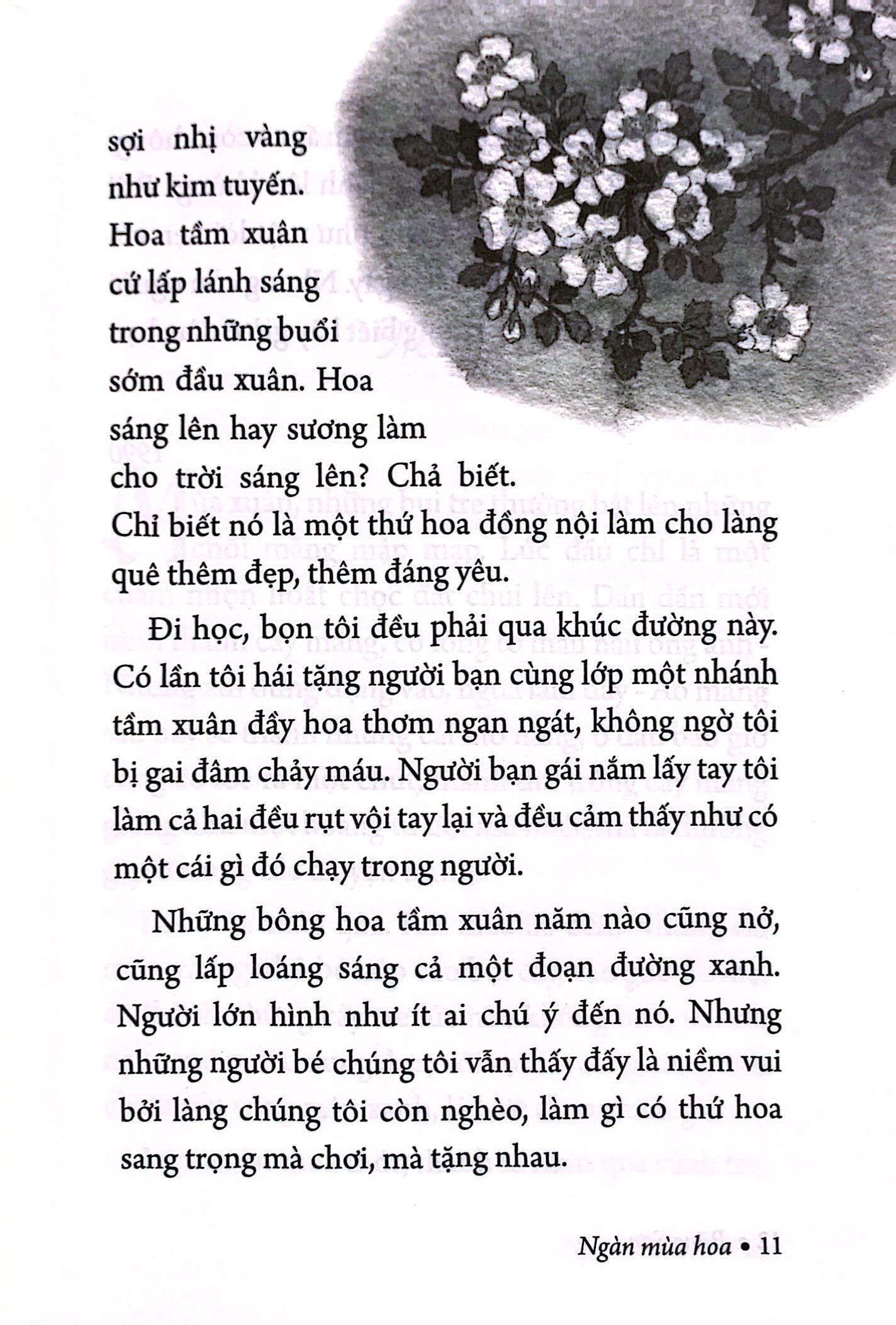 ngàn mùa hoa - nét đẹp thiên nhiên - Ảnh 5