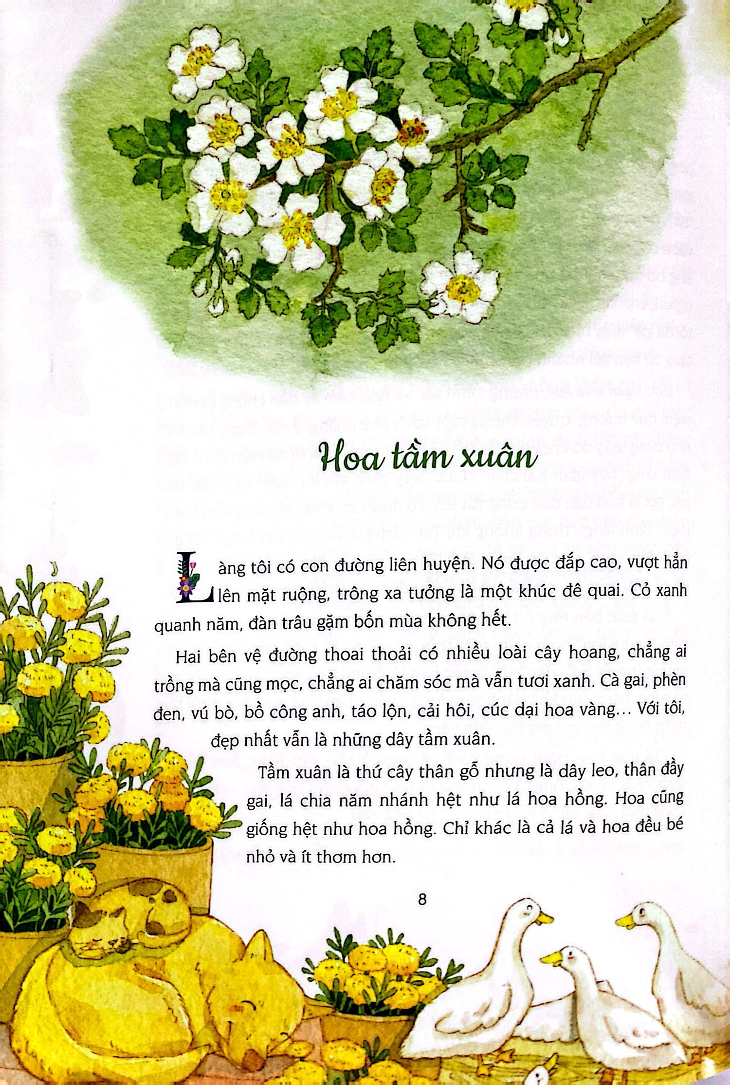 ngàn mùa hoa - tản văn giúp trẻ yêu văn chương - Ảnh 6