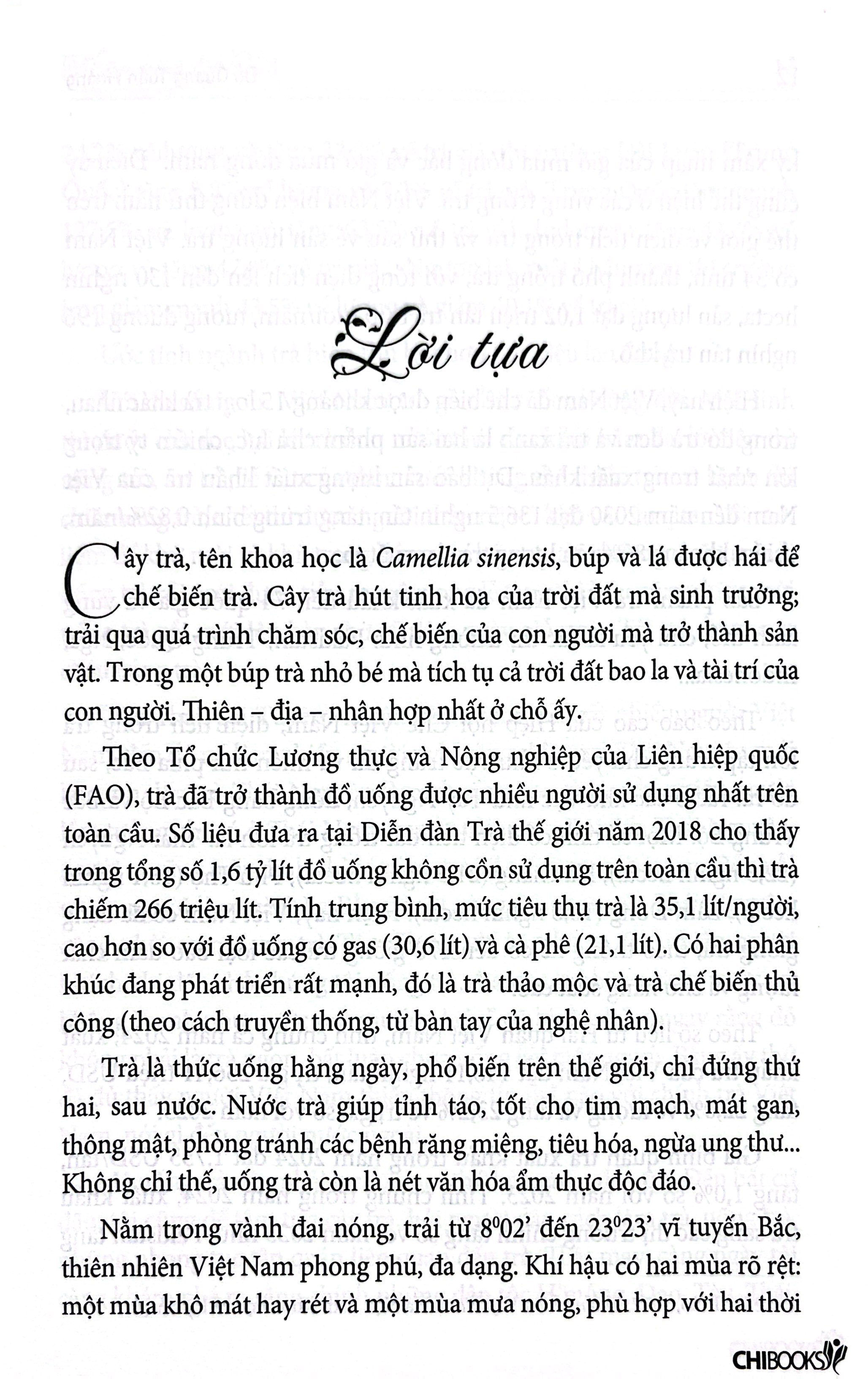 Ngàn Năm Trà Việt - Ảnh 6