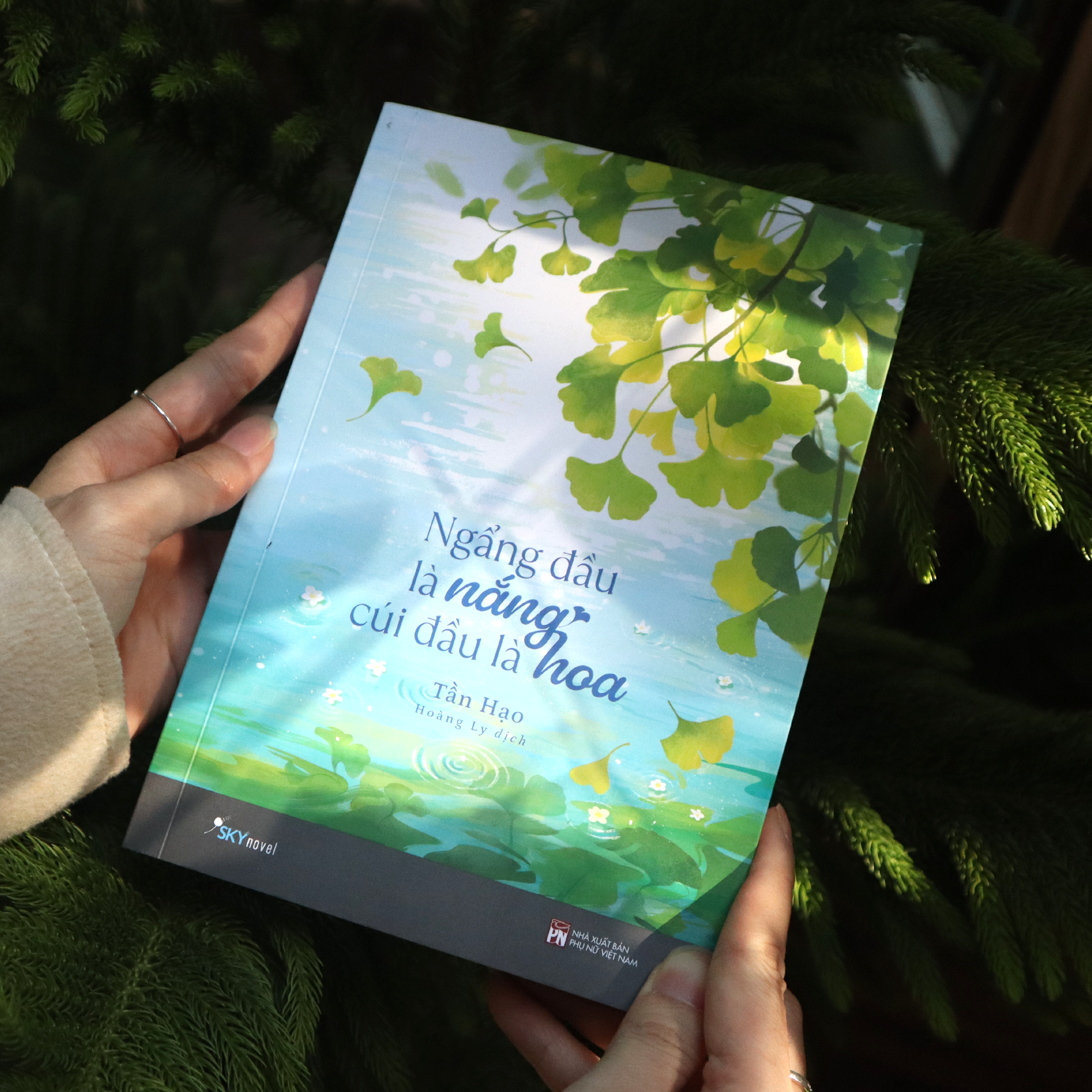 Ngẩng Đầu Là Nắng - Cúi Đầu Là Hoa - Ảnh 4