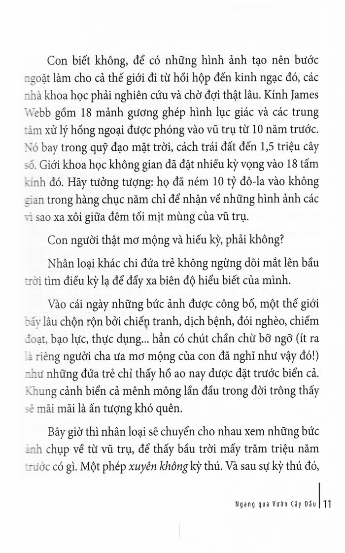 ngang qua vườn cây dầu - Ảnh 10