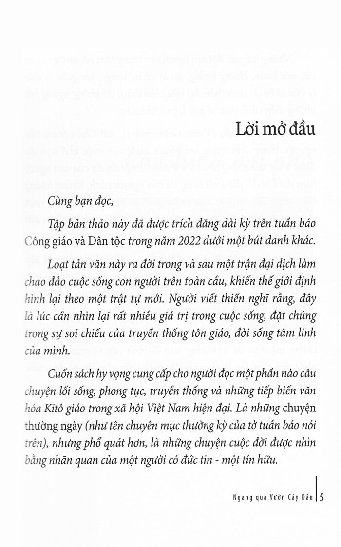 ngang qua vườn cây dầu - Ảnh 5
