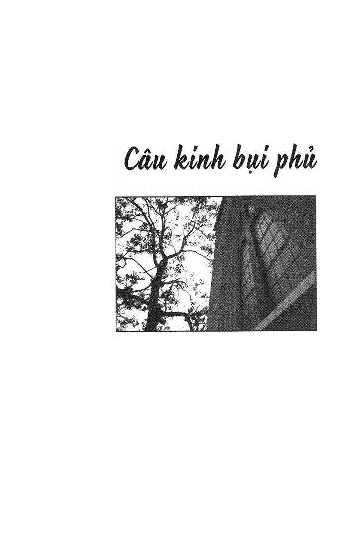 ngang qua vườn cây dầu - Ảnh 7