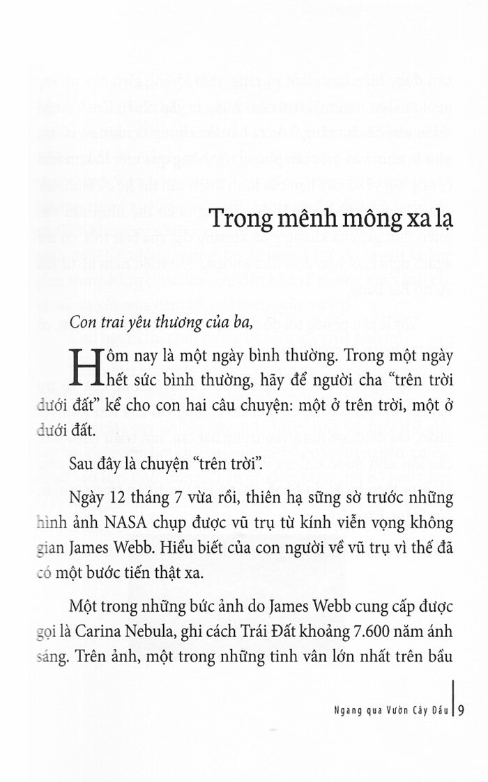 ngang qua vườn cây dầu - Ảnh 8