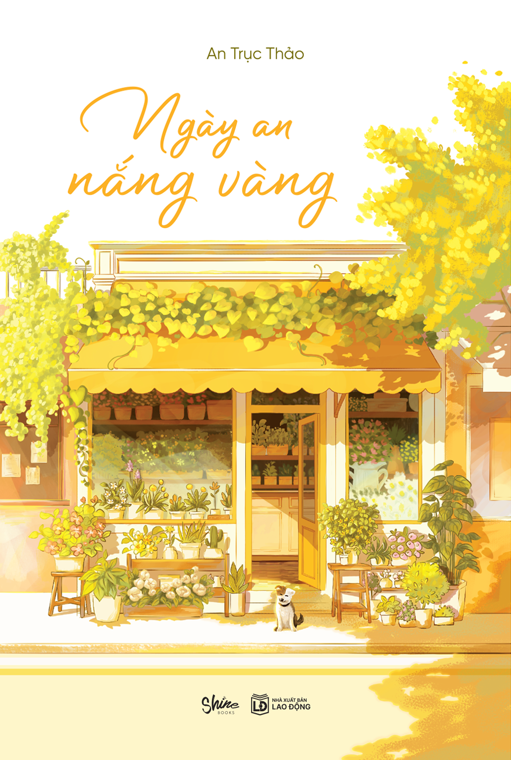 ngày an nắng vàng - Ảnh 2