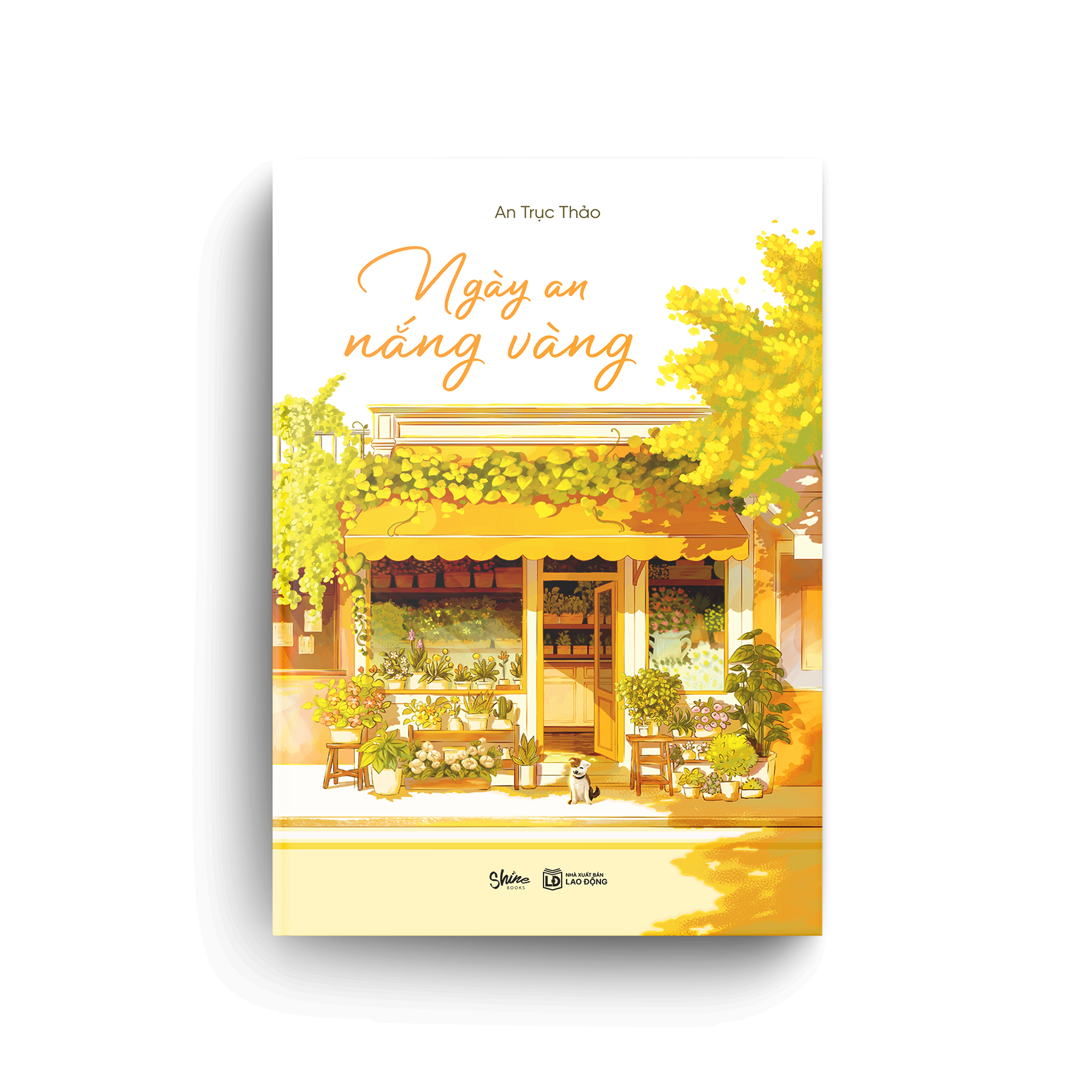 ngày an nắng vàng - Ảnh 3