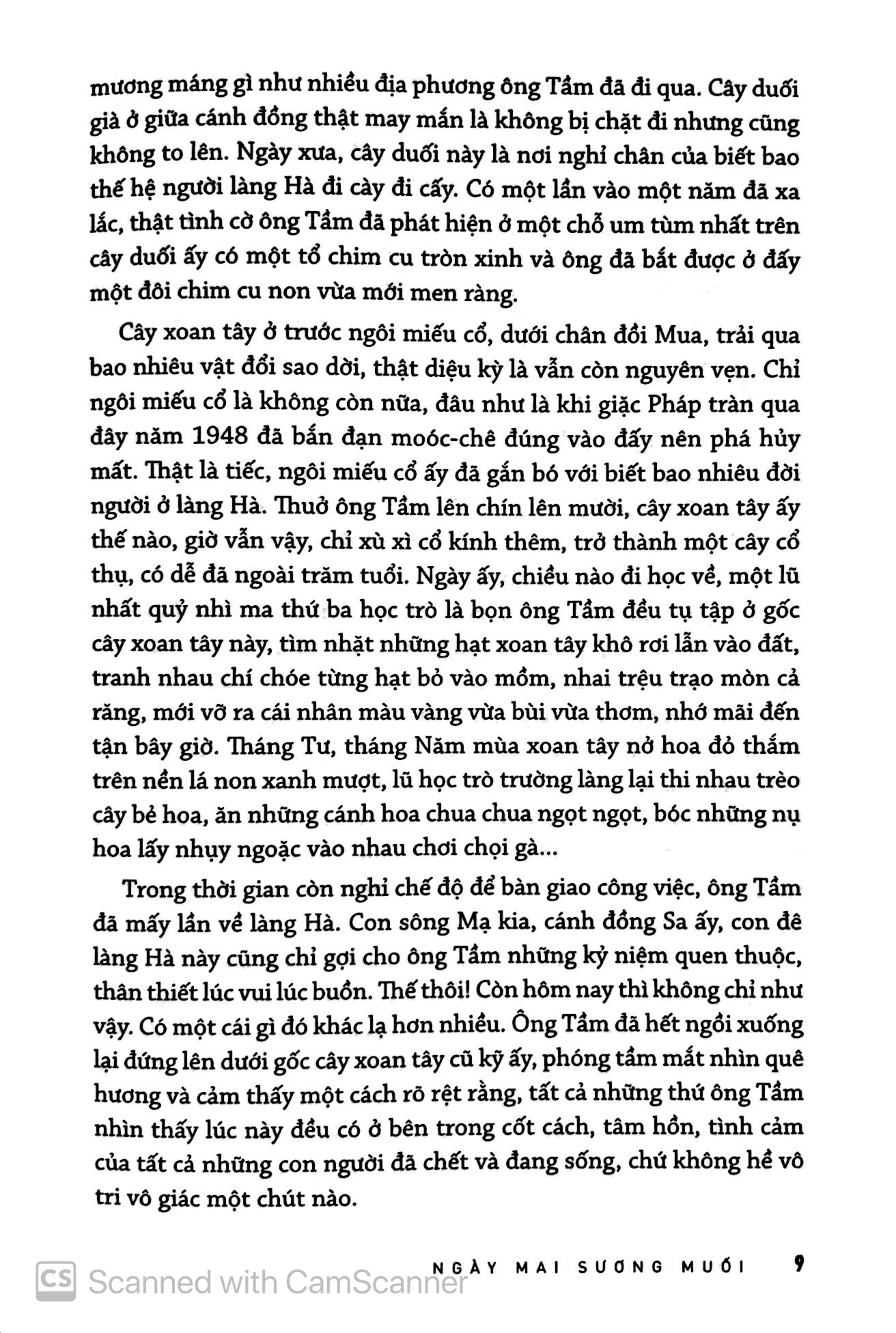 ngày mai sương muối - Ảnh 5