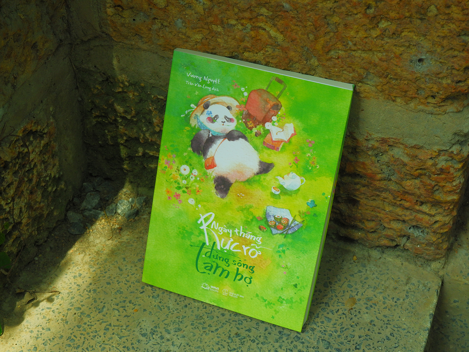 ngày tháng rực rỡ đừng sống tạm bợ - Ảnh 4