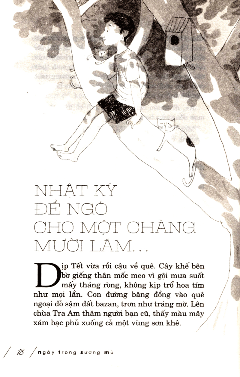 ngày trong sương mù - Ảnh 12