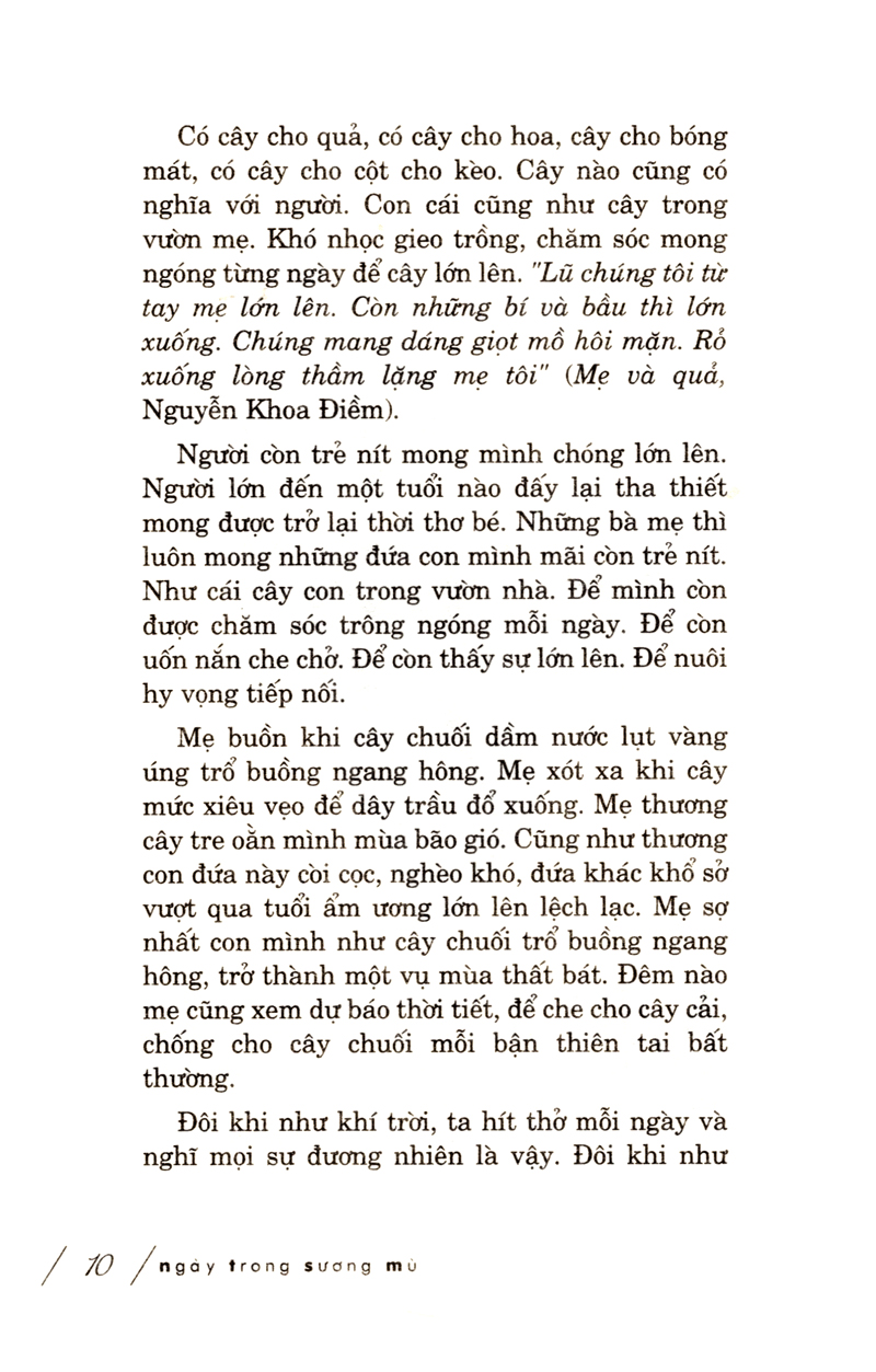 ngày trong sương mù - Ảnh 4