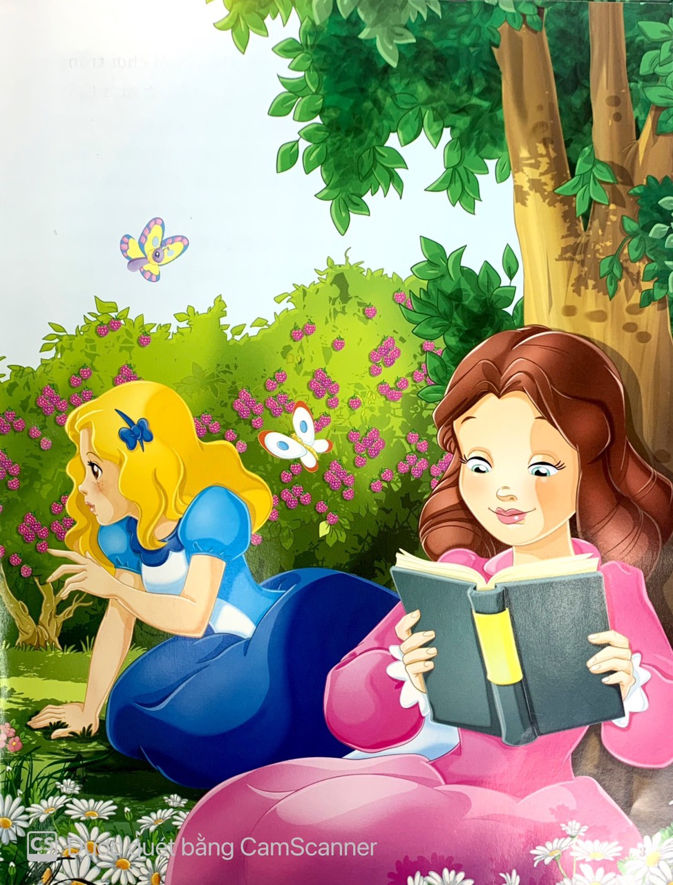 ngày xửa ngày xưa - alice lạc vào xứ sở thần tiên - Ảnh 5