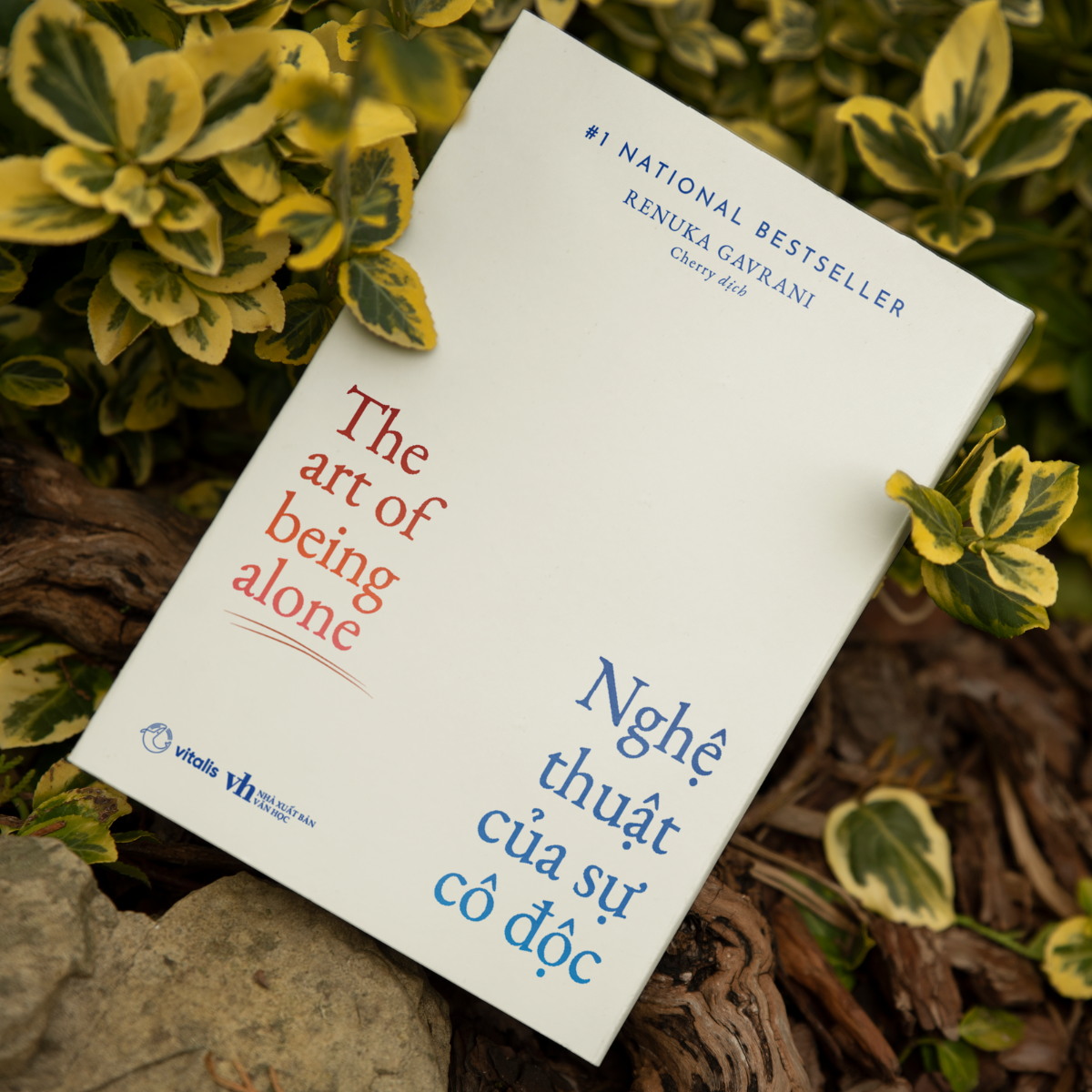 Nghệ Thuật Của Sự Cô Độc - The Art Of Being Alone - Ảnh 3