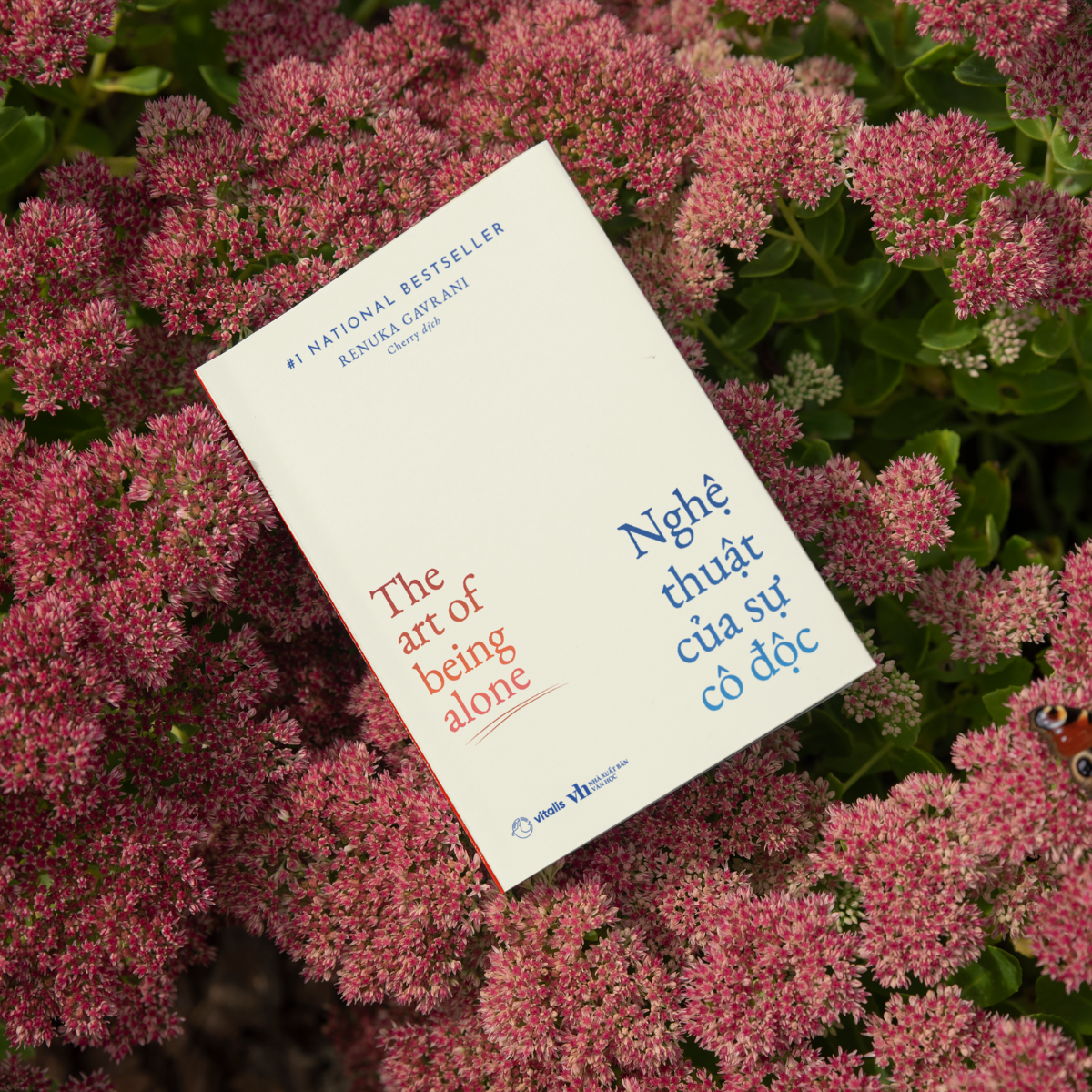 Nghệ Thuật Của Sự Cô Độc - The Art Of Being Alone - Ảnh 4